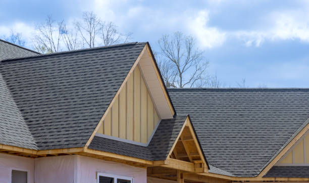 Best Asphalt Shingles Roofing  in Tamarac, FL